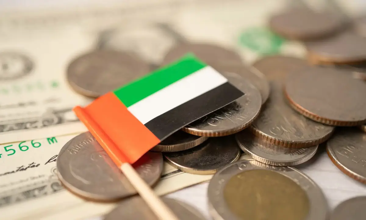 The Federal Tax Authority and Its Role in VAT Filing Services in Dubai